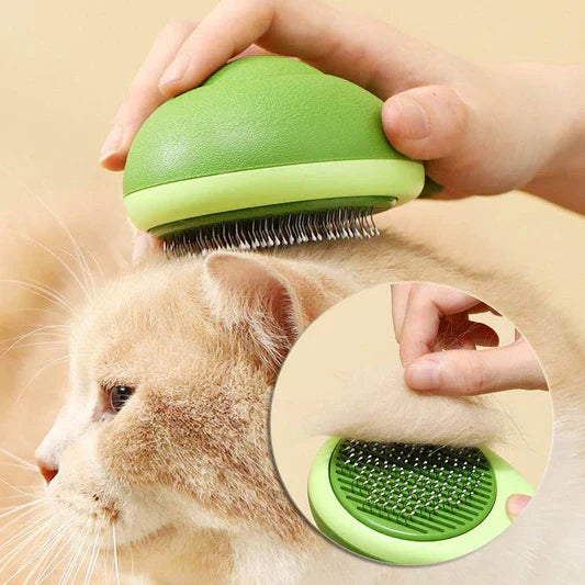 Cat Grooming Supplies