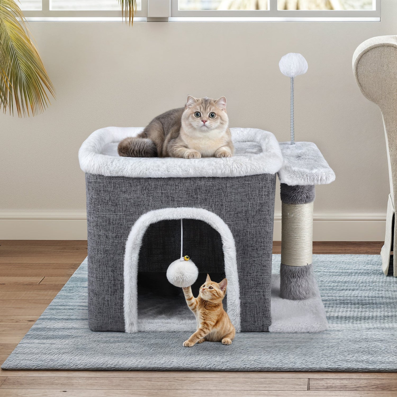 Cat Beds