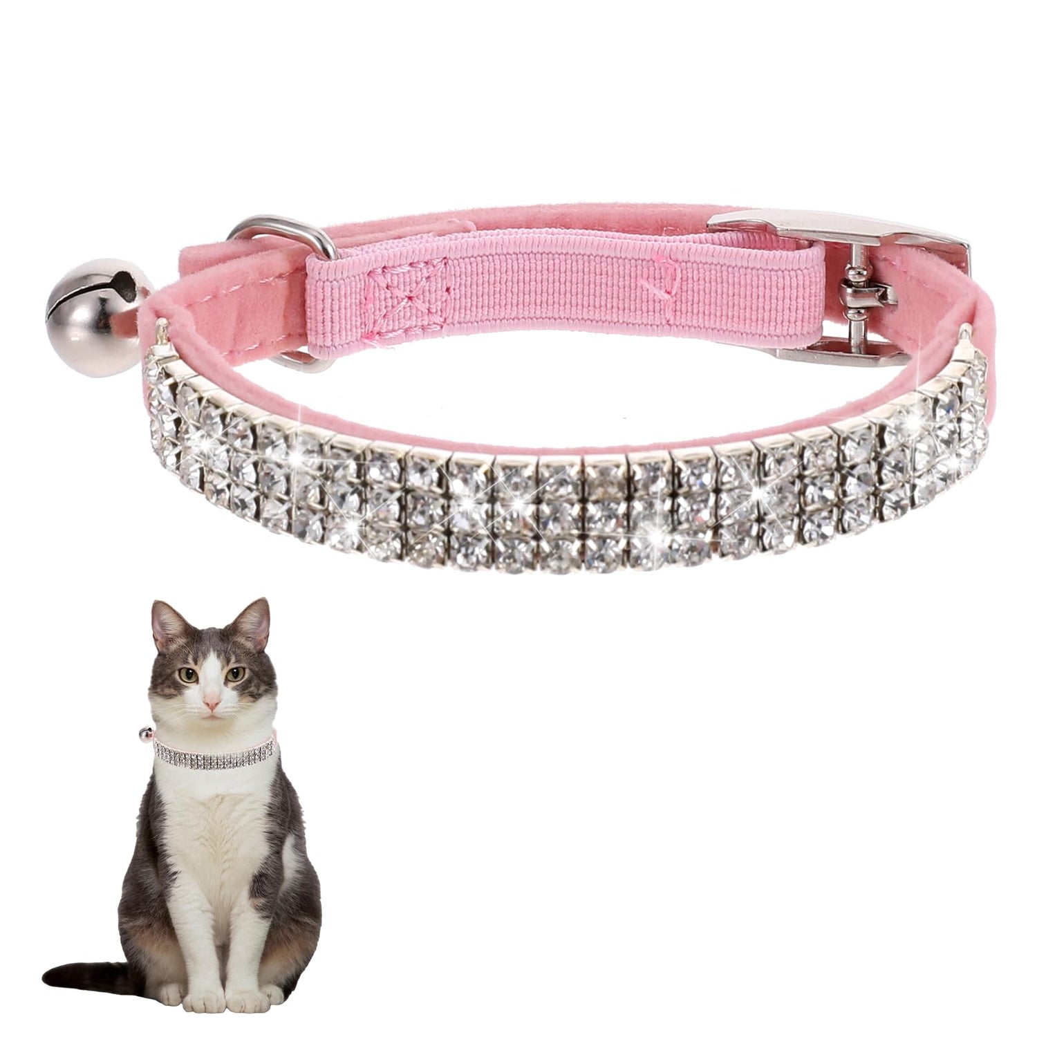 Cat Collars