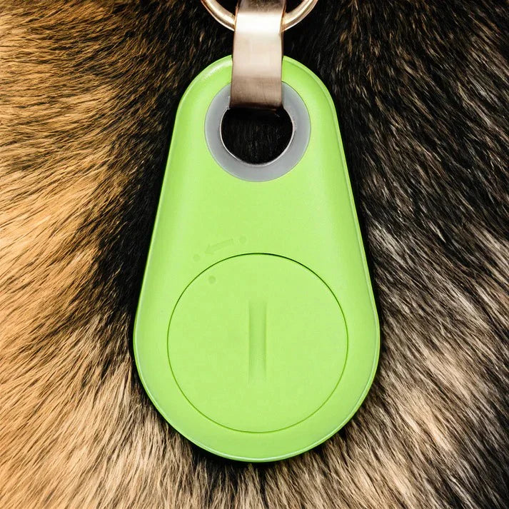 Cat Security