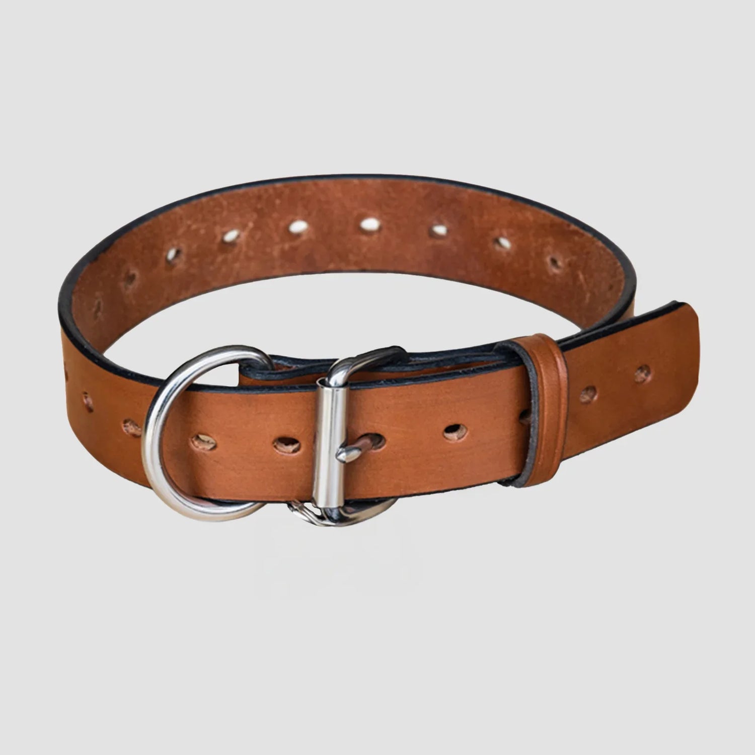 Dog Collars