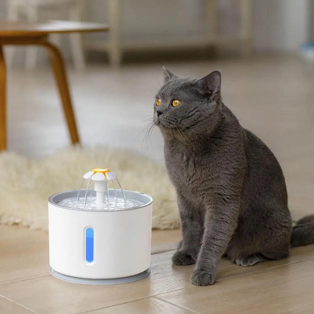 Automatic Pet Water Fountain with LED Lighting 5 Pack Filters 2.4L USB Dogs Cats Mute Drinker Feeder Bowl Drinking Dispenser