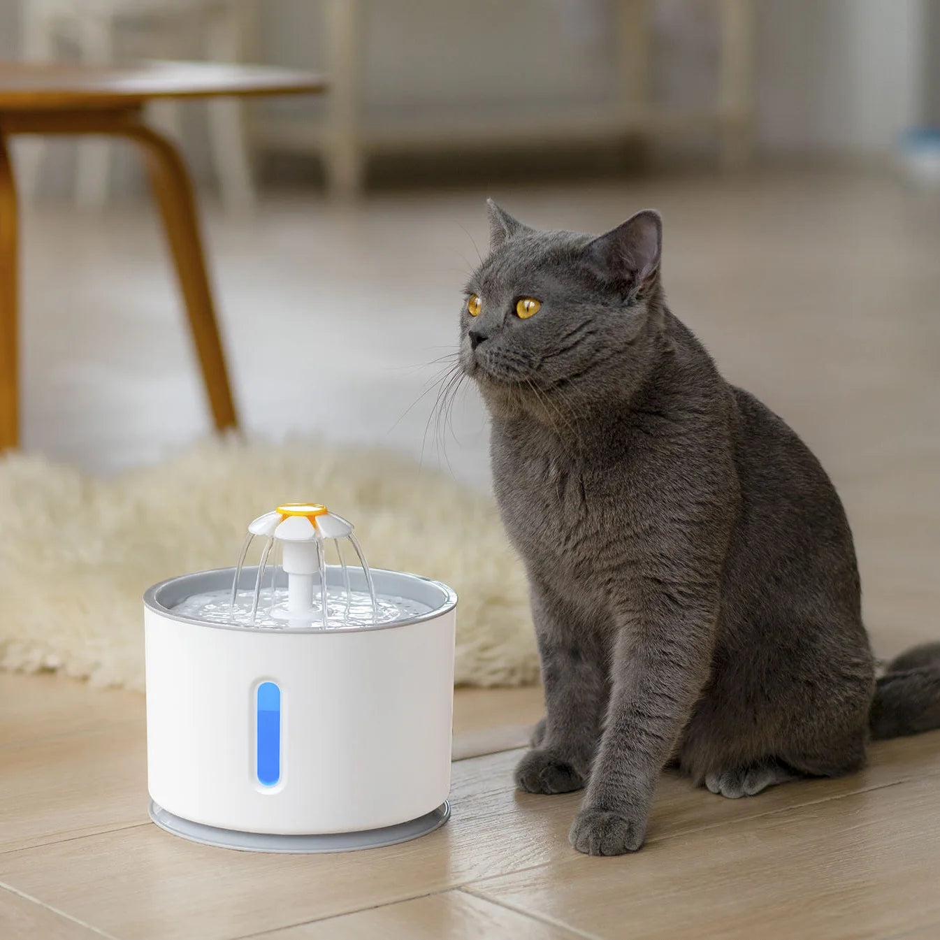 Automatic Pet Water Fountain with LED Lighting 5 Pack Filters 2.4L USB Dogs Cats Mute Drinker Feeder Bowl Drinking Dispenser