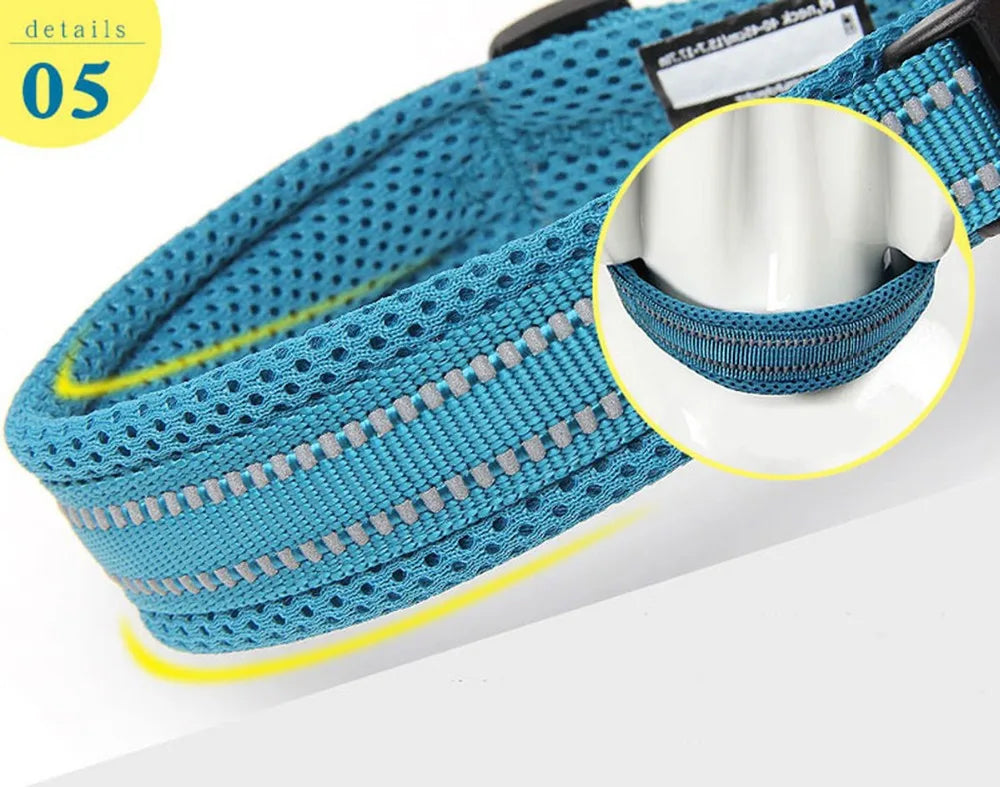 Pet Dog Collar Nylon Adjustable Webbing Padded Soft Reflective Durable Heavy Duty Training Custom Luxury Cat TLC5011
