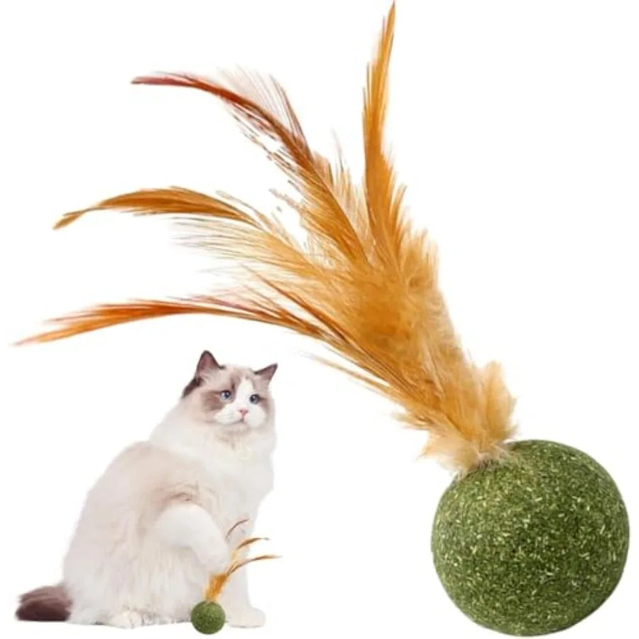 Interactive Catnip Feather Ball Toy for Kittens - Edible Safe Chew Teeth Cleaning Fun Natural Catnip Filled Soft Feather Textur