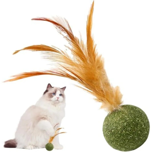 Interactive Catnip Feather Ball Toy for Kittens - Edible Safe Chew Teeth Cleaning Fun Natural Catnip Filled Soft Feather Textur