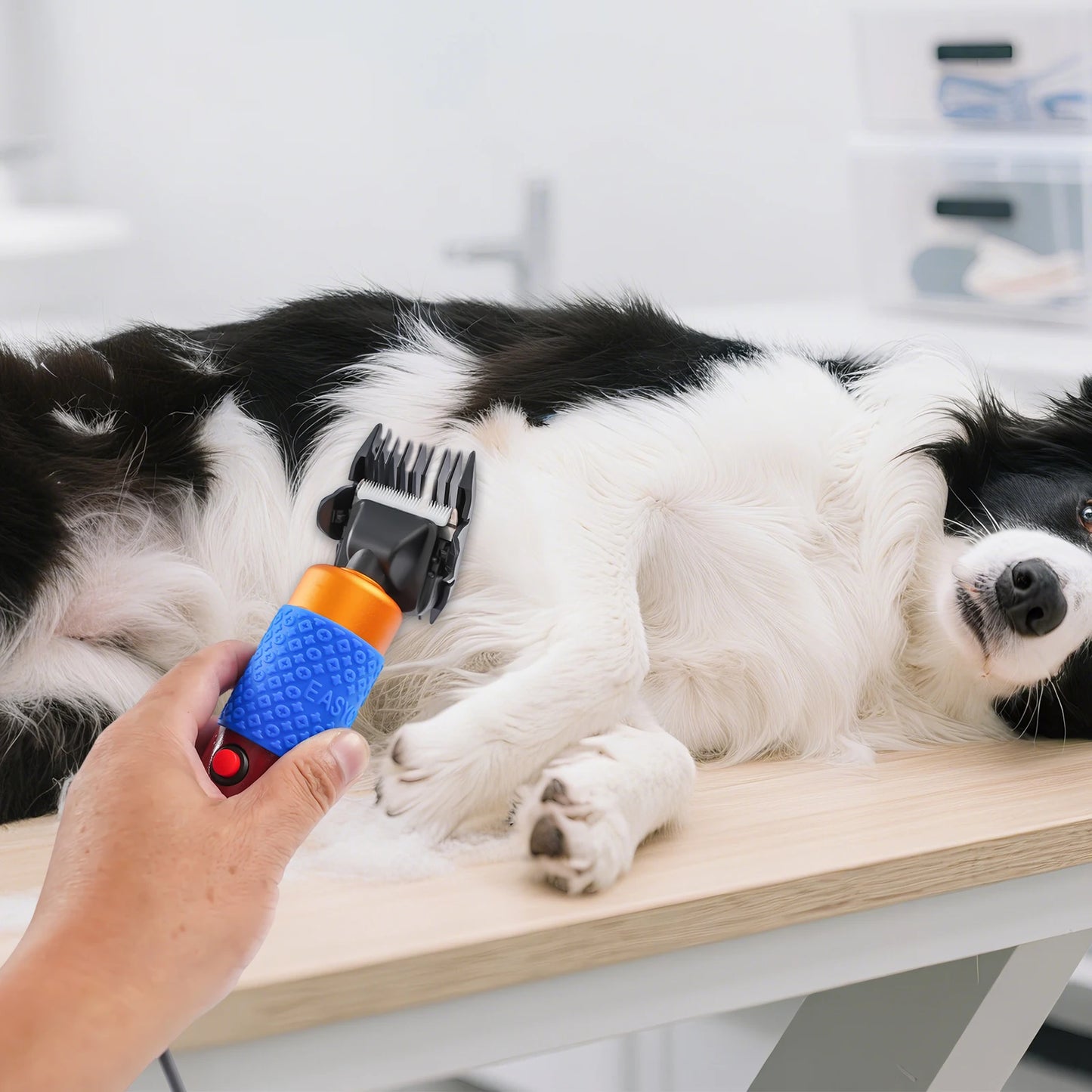 36W Professional Dog Clipper & Cat Hair Trimmer Pet Grooming Kit Adjustable Clipper Comb & Detachable Blades Trimmer