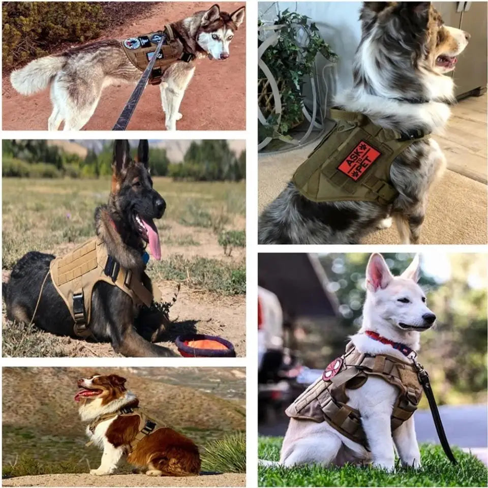 Tactical Dog Harness Leash Collar Molle Pouches for Medium Large Dogs Training Military Pet Vest Adjustable Service Dog Harness