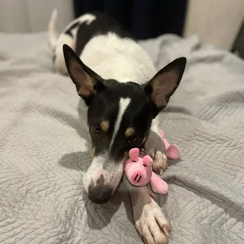 Animals Shape Plush Dog Toy Bite Resistant Squeaky Toys for Small Dogs Interactive Chew Molar Toy Sound Pet Accessories Toy dog