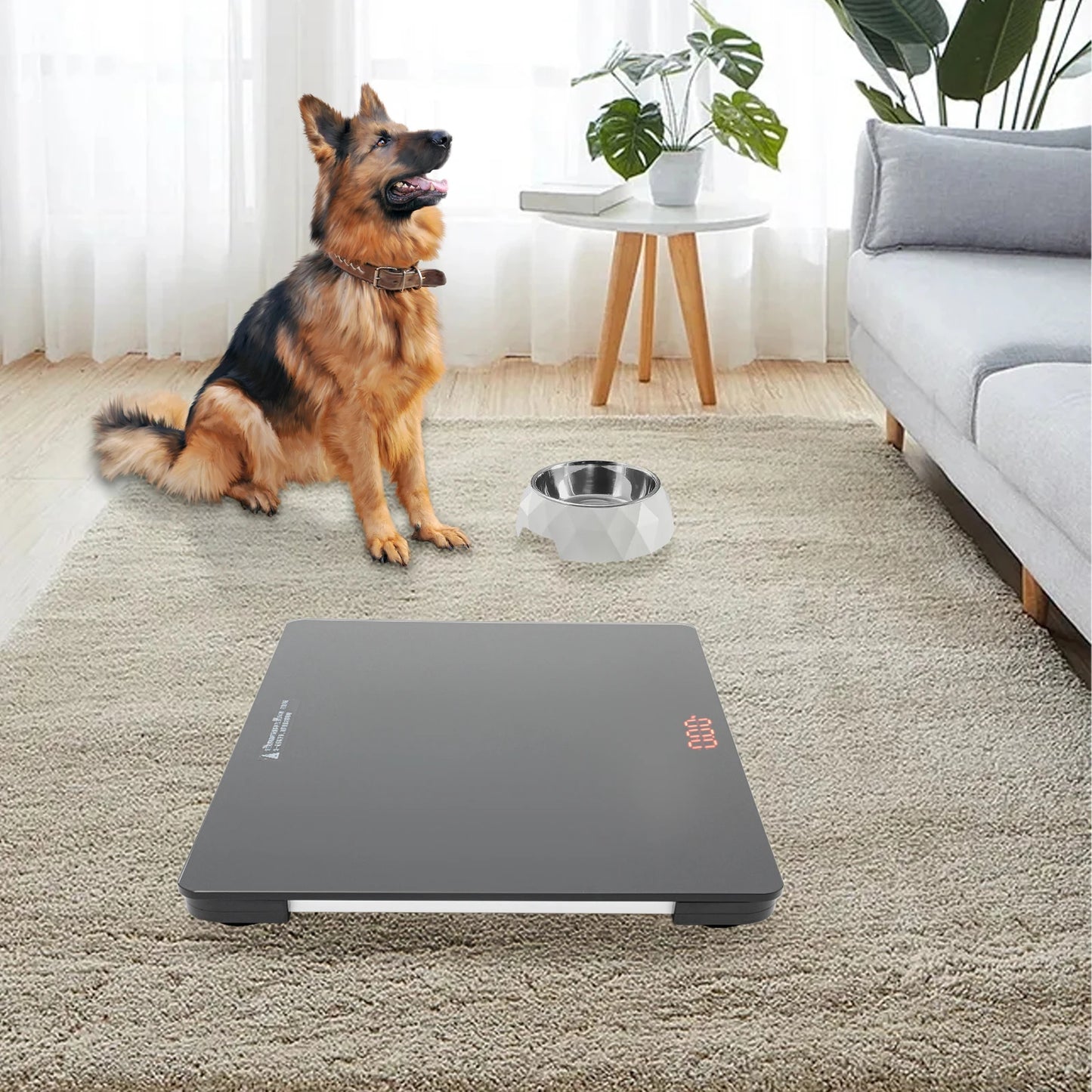 100kg Digital Pet Scale Dog Cat Precise Weigher with LCD Display Animal Electronic Scales for Home Pet Stores Pet Hospital