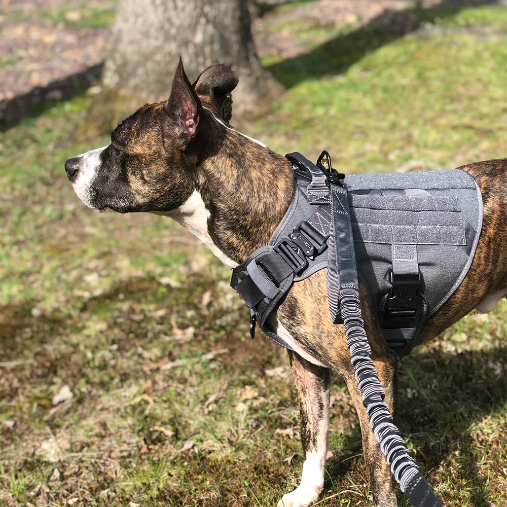 Tactical Bungee Dog Leash Quick Release Elastic Leash with 2 Control Handles Premium Quality Adjustable Four Colors
